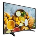 Hikvision DS-D5032QE 31.5" Monitor