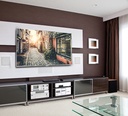 B-TECH XL Universal Flat Screen Wall Mount BT9901