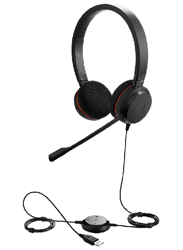 Jabra Evolve 20 MS Edition 