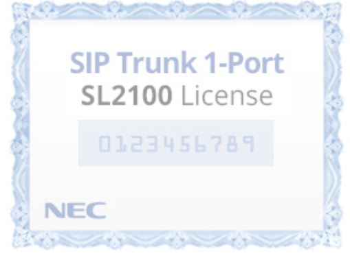 NEC	SIP Trunk License 	BE116745 SL2100 IP TRUNK-01 LIC